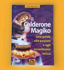 Calderone magiko silver usato  Cernusco sul Naviglio
