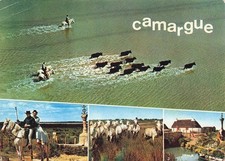 Goat fishing boating d'occasion  Expédié en Belgium