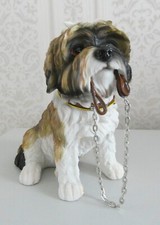 Walkies shih tzu for sale  UK