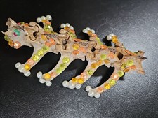 Real deer spine for sale  Bridgeport