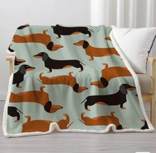 X80 warm dachshund for sale  USA