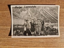 20745. fotografia gruppo usato  Montevarchi