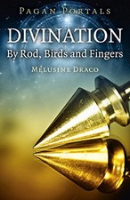 Pagan portals divination for sale  UK