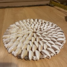sea shells decoration for sale sea shells decoration for sale MONTROSE