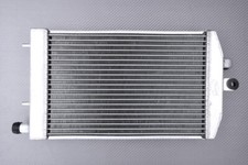 Radiador Agua Tipo Racing KAWASAKI VN1700 VULCAN 1700 CLASSIC / LT 2009 - 2012 comprar usado  Enviando para Brazil