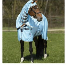 Rambo horseware vamoose for sale  PRESTON