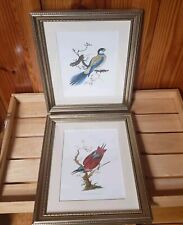 Pair res bird for sale  Calhoun
