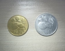 Coppia lira arancia usato  Modena