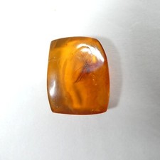 Amber specimen trapped for sale  Bremerton