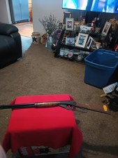 Vintage daisy gun for sale  Romney