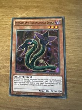 Predaplant darlingtonia cobra for sale  ILKESTON