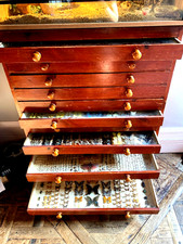 Antique large butterfly for sale  LONDON