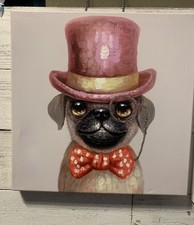 Adorable pug wearing for sale  Dallas