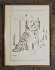 bearded collie for sale bearded collie for sale ST. ALBANS