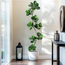 Garveehome artificial fiddle for sale  USA