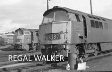 Orig 35mm negative for sale  EXETER