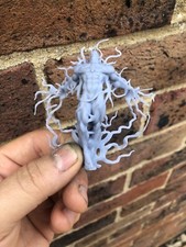 Tan transcendent necron for sale  UK