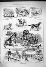 Antique old print for sale  UK