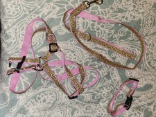 Collars, Leads & Harnesses for sale Collars, Leads & Harnesses for sale Franklin