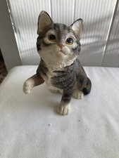 tabby kittens for sale tabby kittens for sale SHANKLIN
