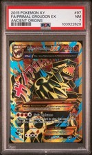 Pokemon primal groudon for sale  ABERDEEN