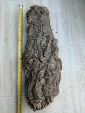Large vivarium natural for sale  WOLVERHAMPTON