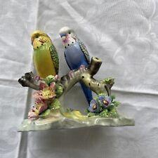 parakeets budgerigars for sale parakeets budgerigars for sale Billerica