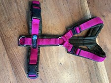 Anny geschirr gr gebraucht kaufen  Sterup