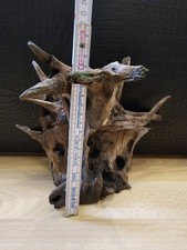 Aquarium zubehör schöne gebraucht kaufen  Trier