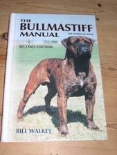 Rare large bull for sale  WARRINGTON