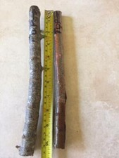 Hog plum jamaican for sale  Cape Coral