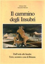 Cammino degli insubri usato  Cambiago