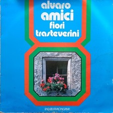 Alvaro amici fiori usato  Priolo Gargallo