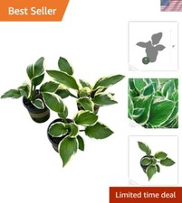 Patriot hosta trio for sale  Laredo