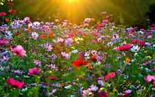 Mix fiori primaverili usato  Torino