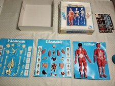 Modellino esplorando corpo usato Modellino esplorando corpo usato  Verbicaro