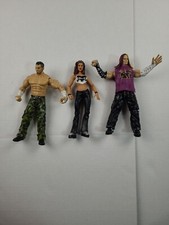 Wwe hardy boyz for sale  Iola
