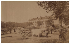 Savoy buffalo carts d'occasion  Expédié en Belgium