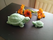 Duftkerze motiv schildkroten gebraucht kaufen  Zschopau