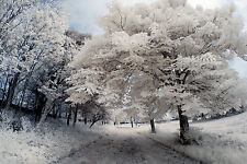 Nikon d80 infrared for sale  SHOREHAM-BY-SEA
