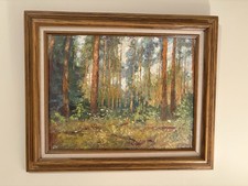 Sean forest trees for sale  Myrtle Beach