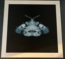 Rare moth signed for sale  GREAT YARMOUTH