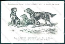 Cartolina animali dog usato  Gambolo