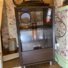 Omlet qute gerbil for sale  BEDFORD