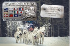 Vtg 1991 iditarod for sale  Willow