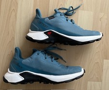 Salomon alphacross gtx gebraucht kaufen  Titisee-Neustadt