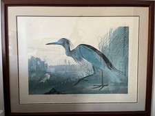 Blue crane audubon for sale  New York