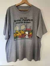 Charlie brown pumpkin for sale  DERBY