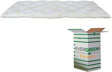 Evergreenweb correttore matera usato  Roma