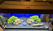 Jewel rio 180 for sale  WALSALL